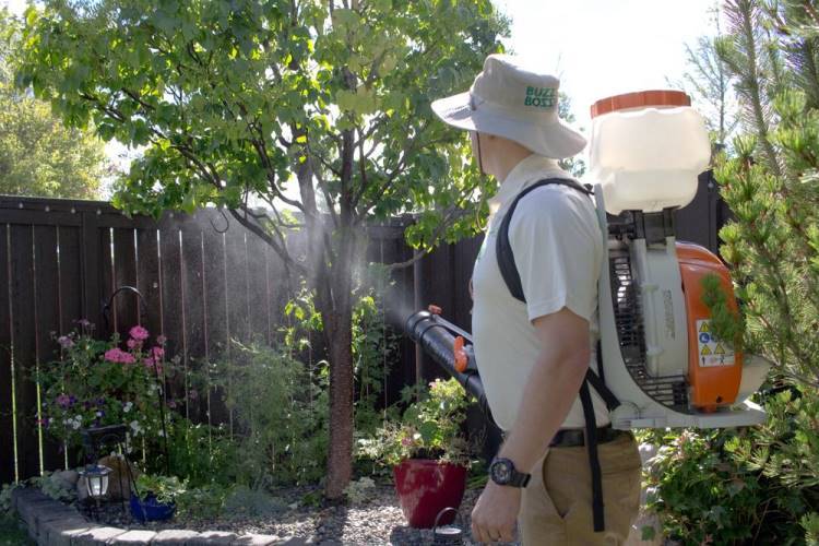 pest control company kellowna