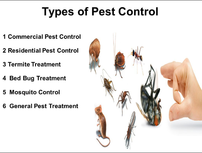 Type of Pest