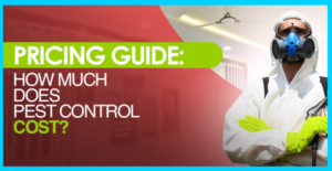 Pest Control Prices in Canada